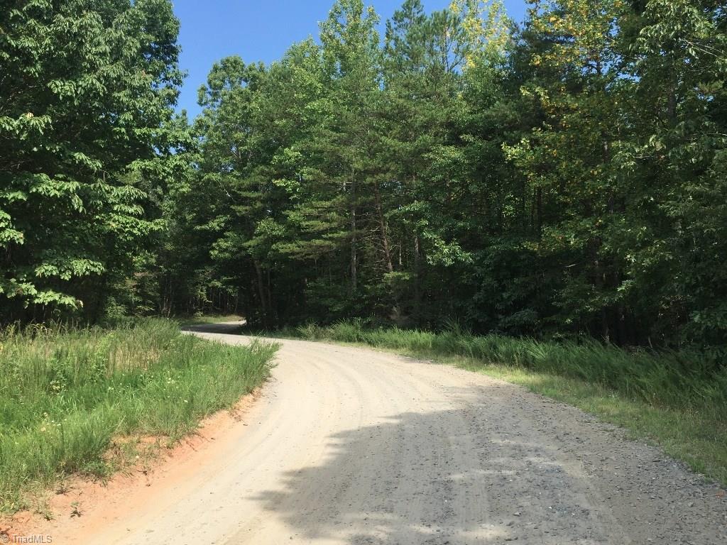 60-ac 60-ac Hauser Road Pinnacle, NC 27043 - Photo 5 of 20
