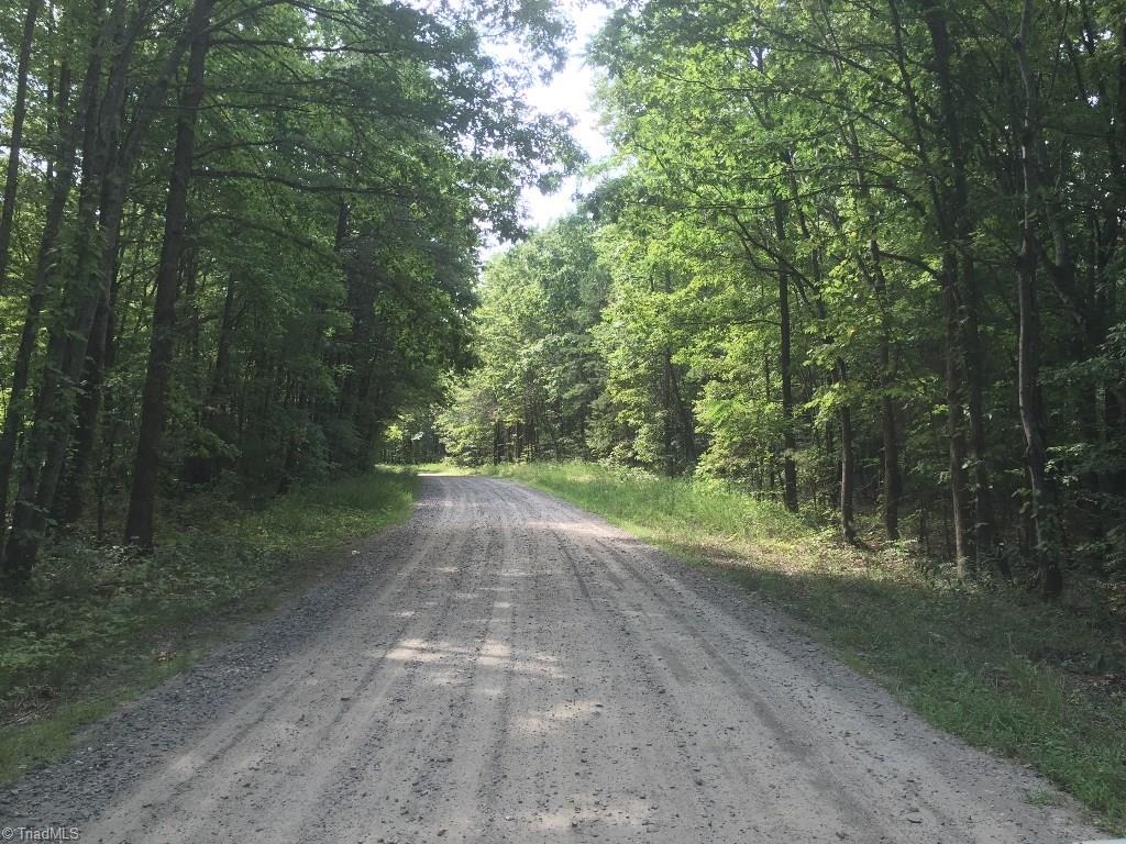 60-ac 60-ac Hauser Road Pinnacle, NC 27043 - Photo 6 of 20