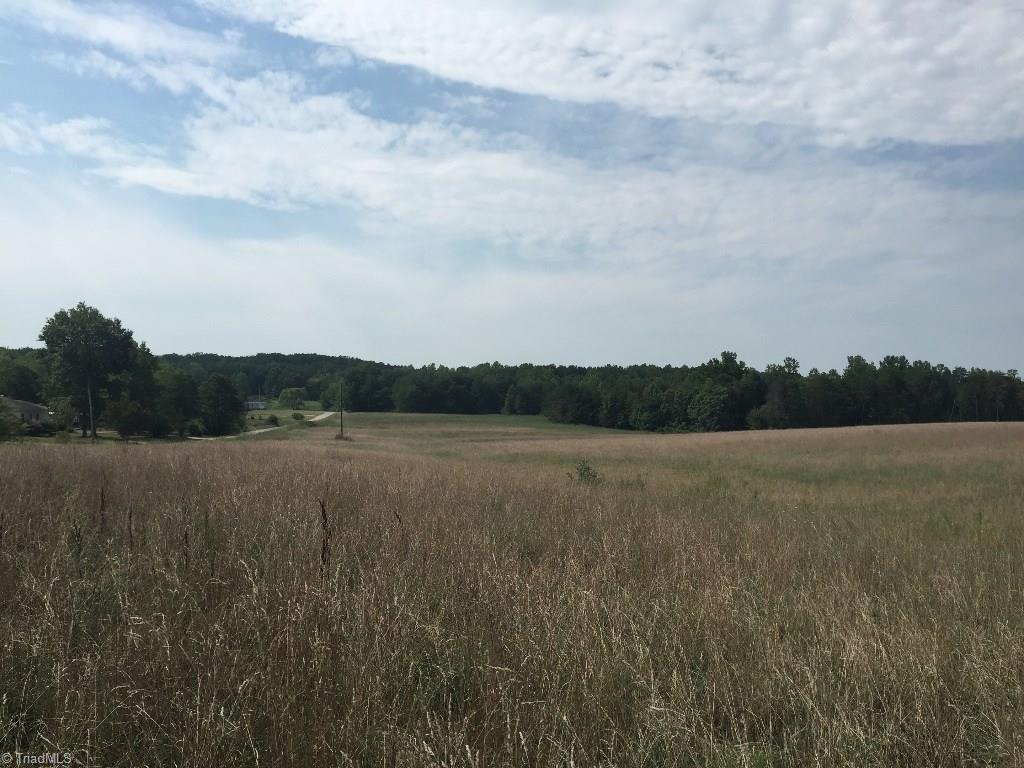 60-ac 60-ac Hauser Road Pinnacle, NC 27043 - Photo 7 of 20