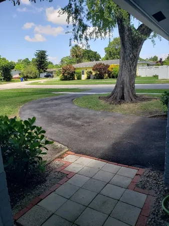 a view of a garden with a large tree