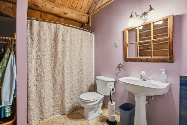 a bathroom with a sink a toilet and shower curtain