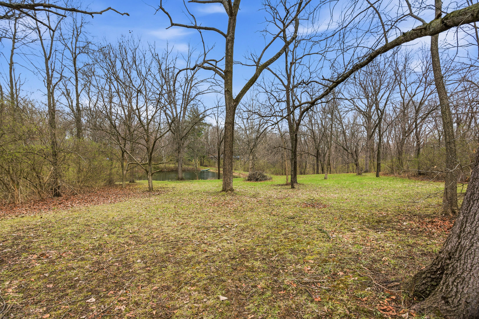 1418 East 2370 North Road White Heath, IL 61884 - Photo 45 of 49 a view of a yard with tree s