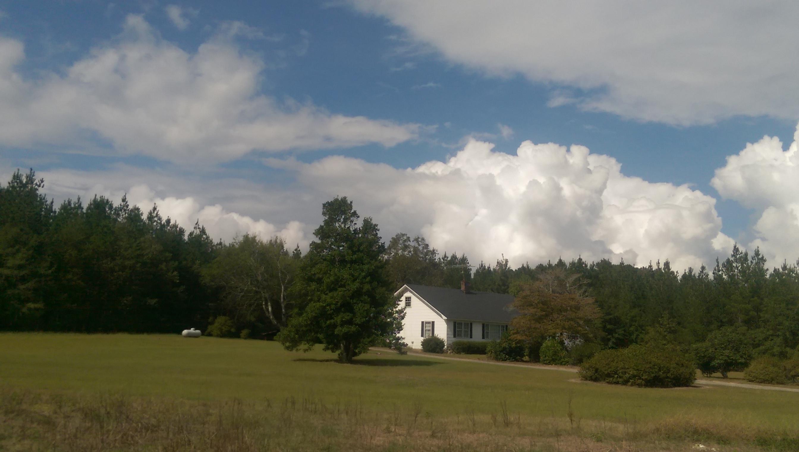 2344 McCords Ferry Road Cameron, SC 29030 - Photo 25 of 25 IMAG4357