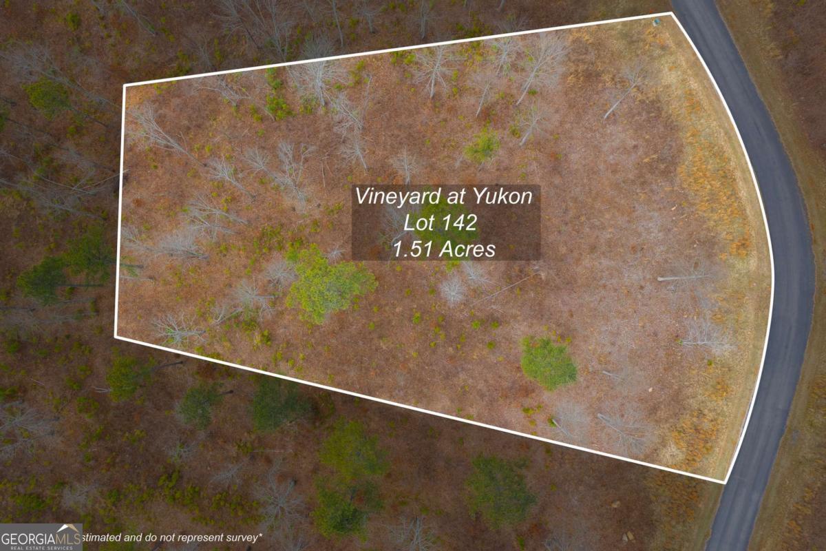 Lot 142 Twisted Oak Road Talking Rock, GA 30175 - Photo 2 of 18 a view of a door