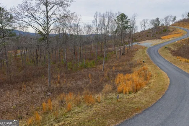 a view of a swimming pool