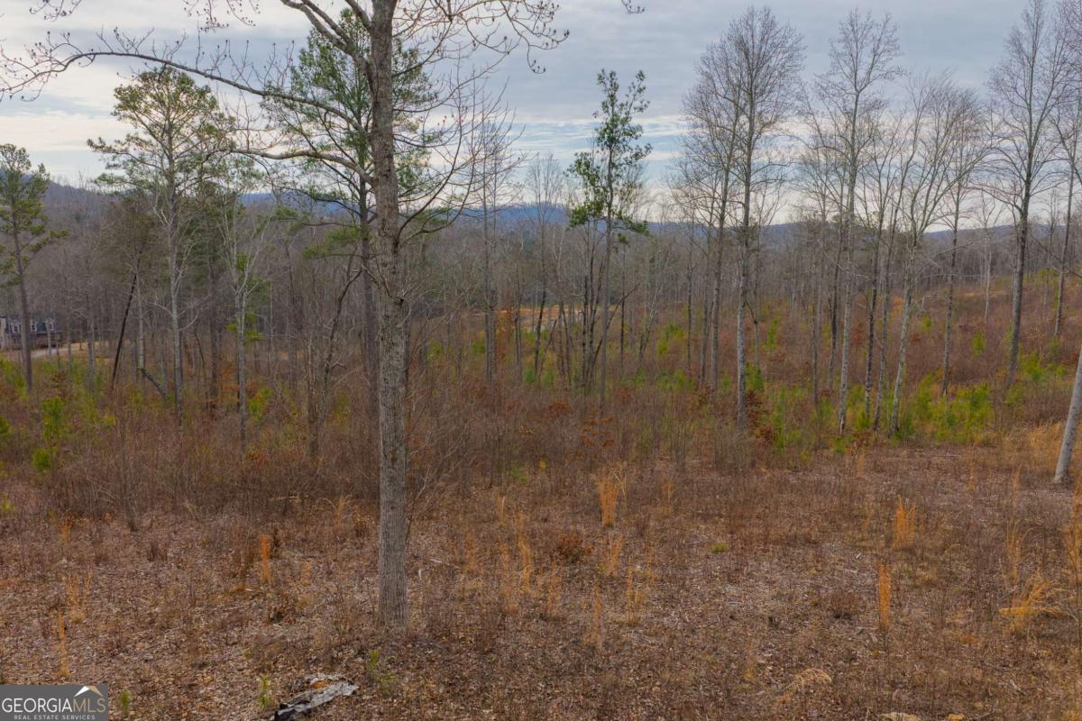 Lot 142 Twisted Oak Road Talking Rock, GA 30175 - Photo 6 of 18 a view of a dry yard