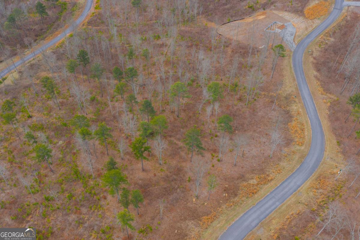 Lot 142 Twisted Oak Road Talking Rock, GA 30175 - Photo 8 of 18 a close up of a sink