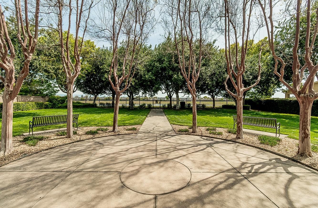 735 West Brittany Lane Clovis, CA 93619 - Photo 28 of 30 a view of a park with large trees