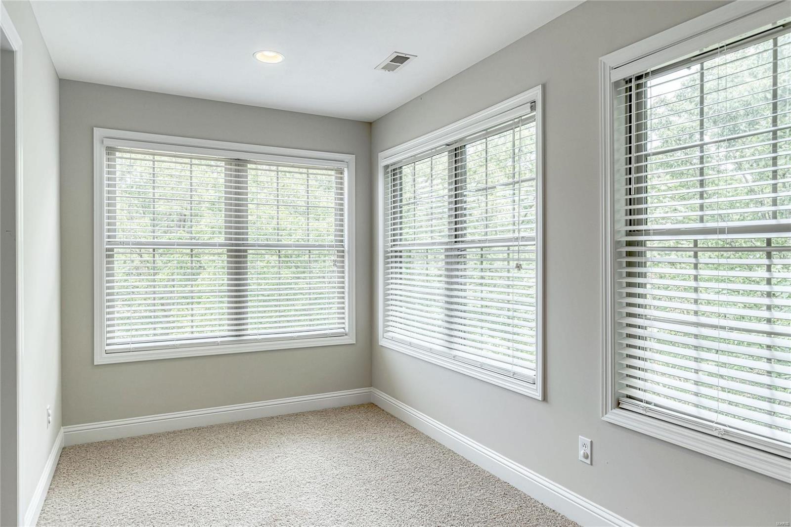 1514 Emerald Isle Lane High Ridge, MO 63049 - Photo 41 of 91