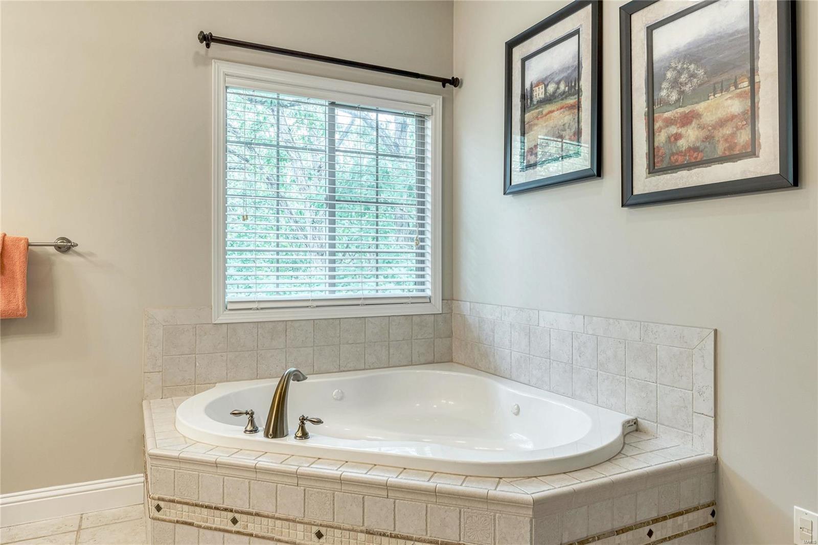 1514 Emerald Isle Lane High Ridge, MO 63049 - Photo 44 of 91