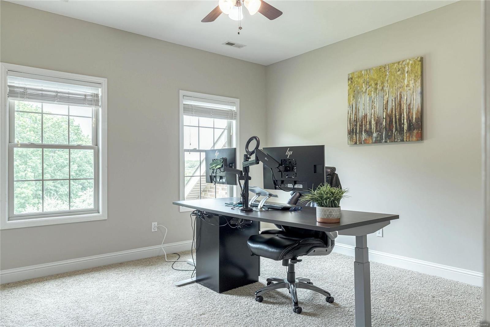 1514 Emerald Isle Lane High Ridge, MO 63049 - Photo 45 of 91