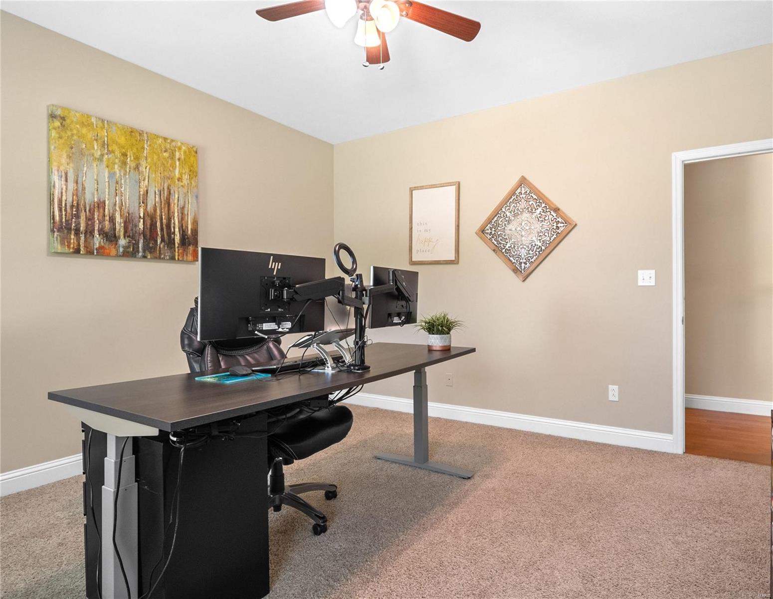 1514 Emerald Isle Lane High Ridge, MO 63049 - Photo 46 of 91