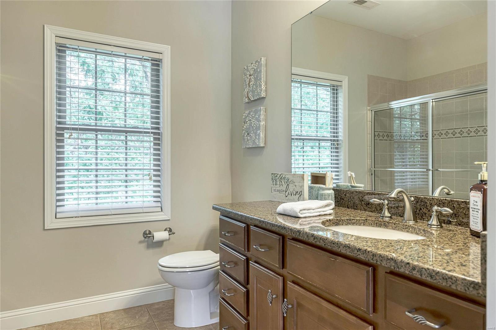 1514 Emerald Isle Lane High Ridge, MO 63049 - Photo 53 of 91