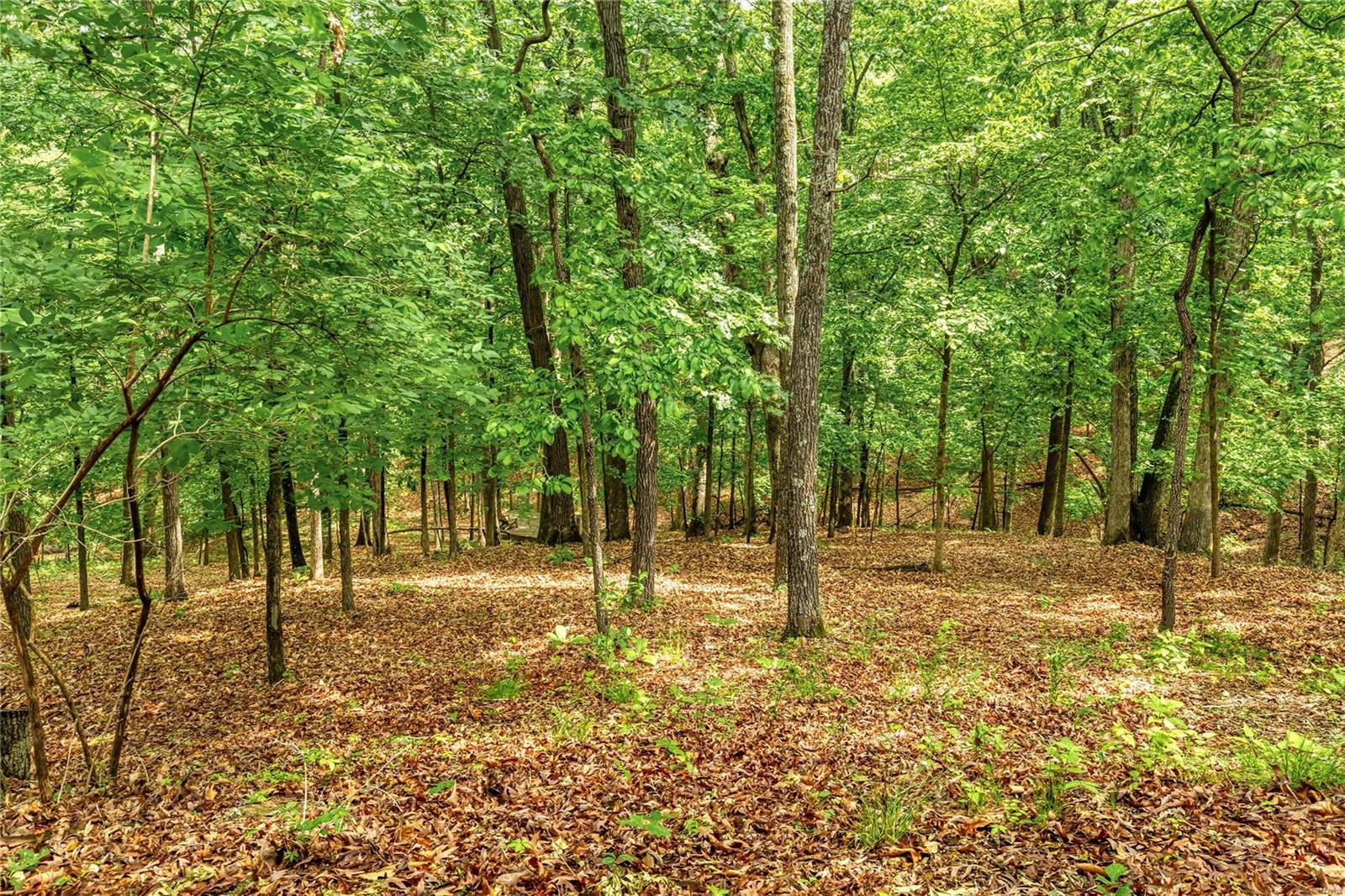 1514 Emerald Isle Lane High Ridge, MO 63049 - Photo 75 of 91