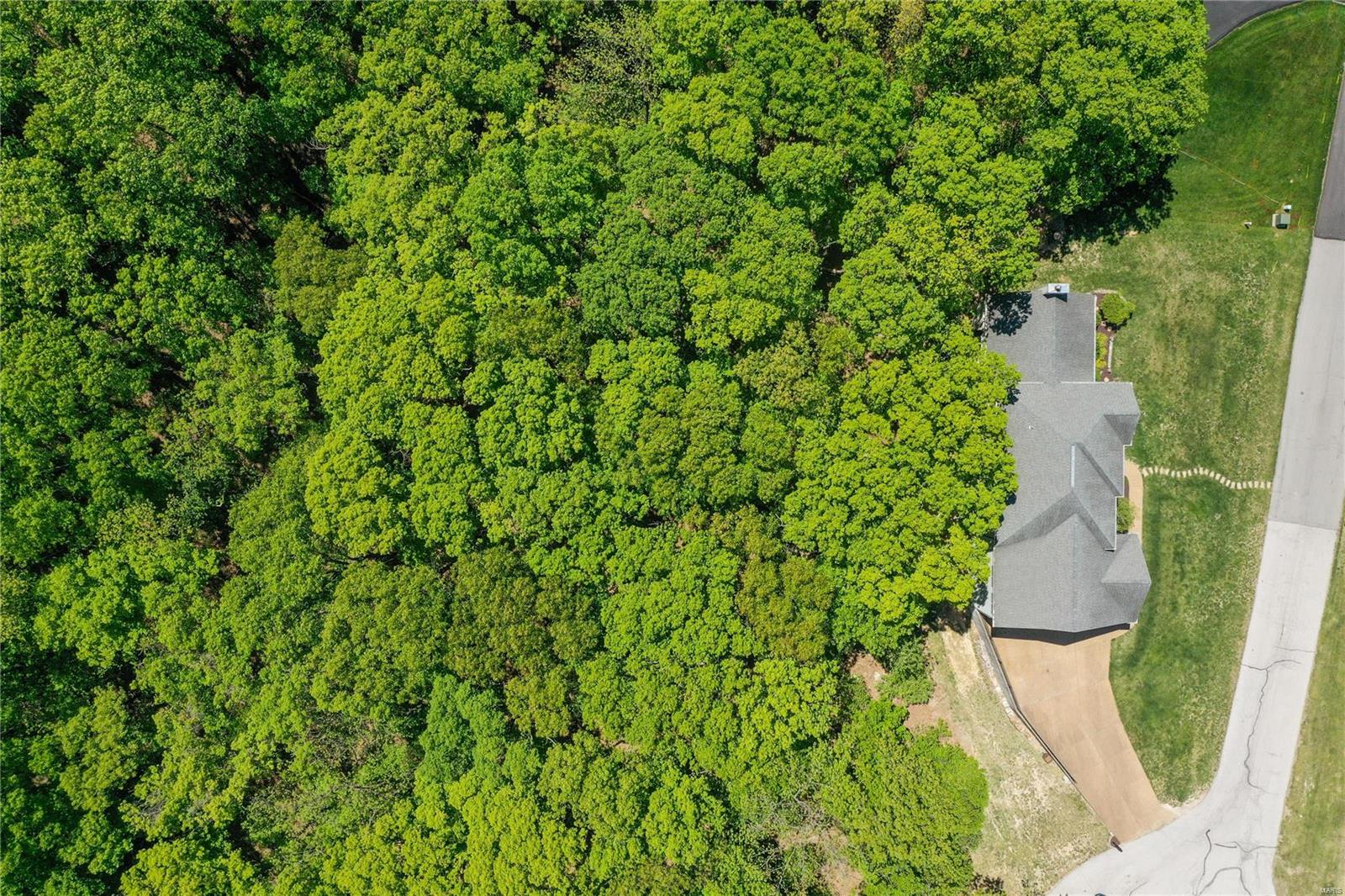 1514 Emerald Isle Lane High Ridge, MO 63049 - Photo 80 of 91