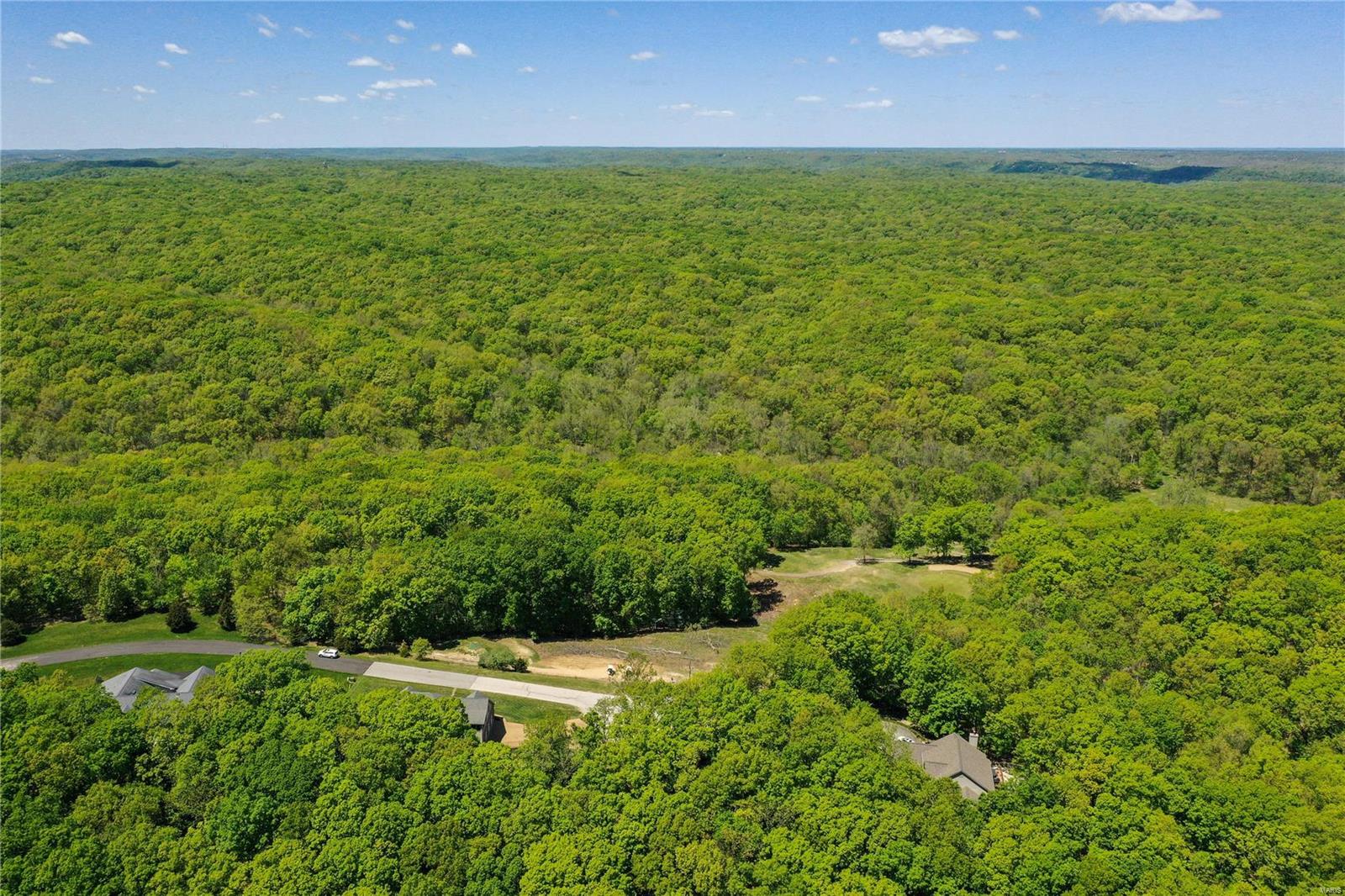 1514 Emerald Isle Lane High Ridge, MO 63049 - Photo 81 of 91