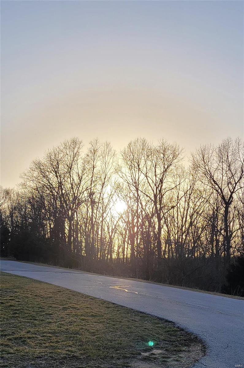 1514 Emerald Isle Lane High Ridge, MO 63049 - Photo 83 of 91