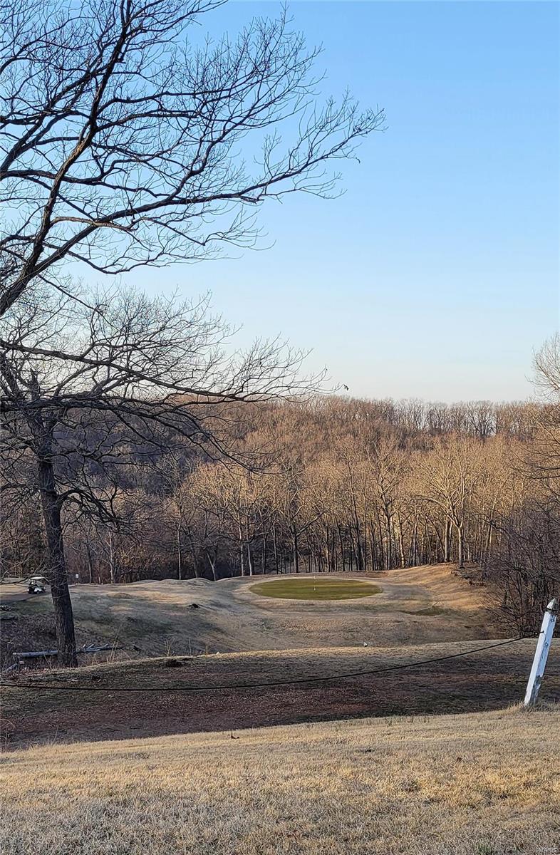 1514 Emerald Isle Lane High Ridge, MO 63049 - Photo 85 of 91