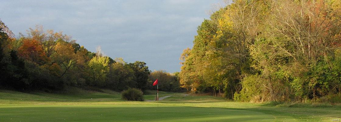 1514 Emerald Isle Lane High Ridge, MO 63049 - Photo 86 of 91