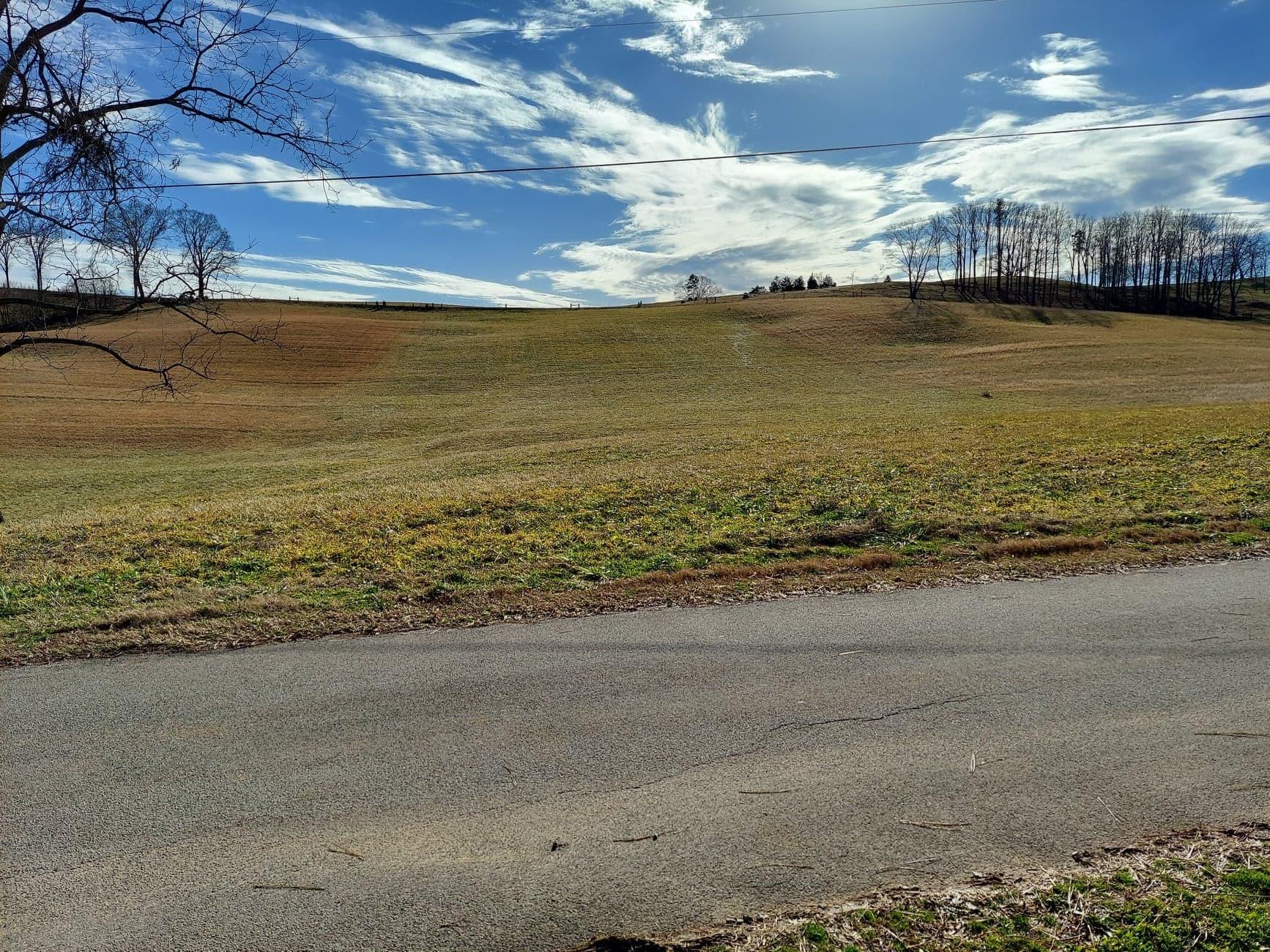5.65 Morgan Hollow Road Rutledge, TN 37861 - Photo 1 of 6 1