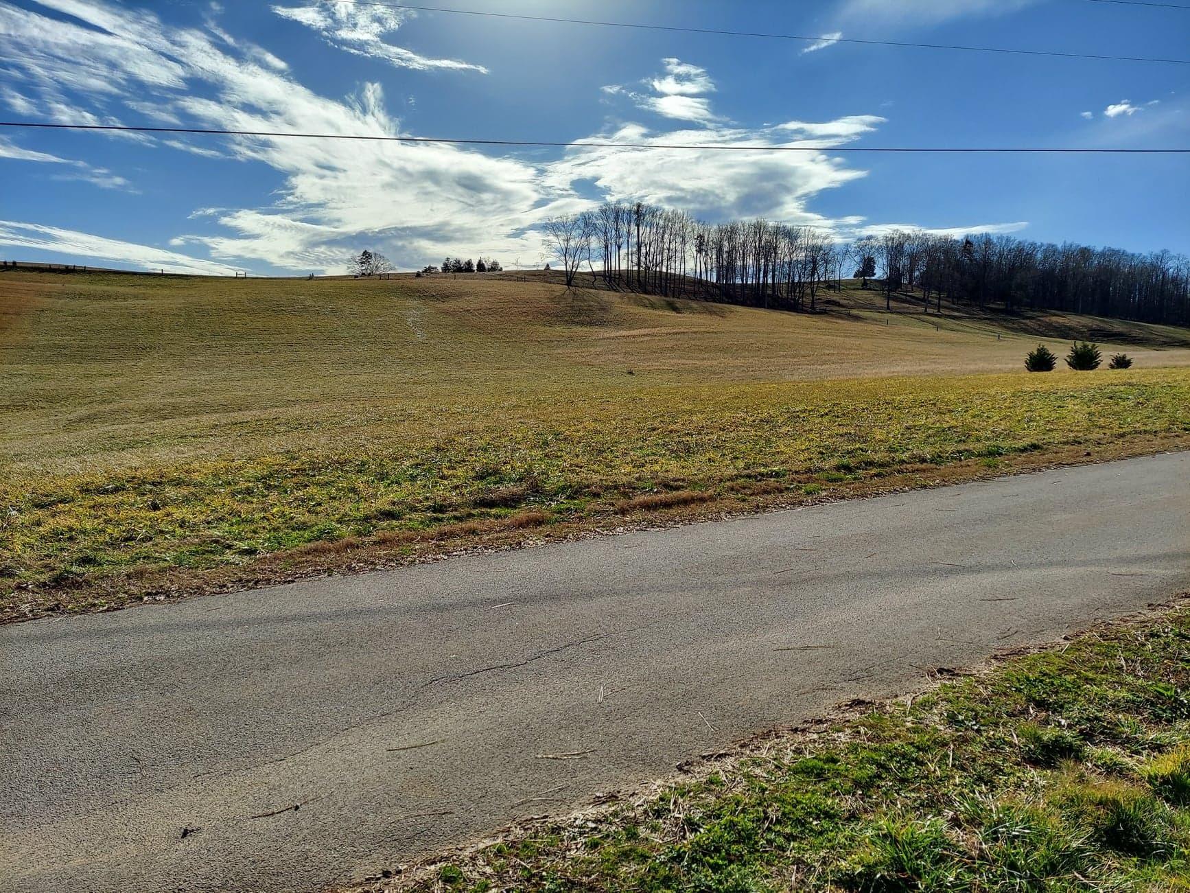 5.65 Morgan Hollow Road Rutledge, TN 37861 - Photo 2 of 6 2