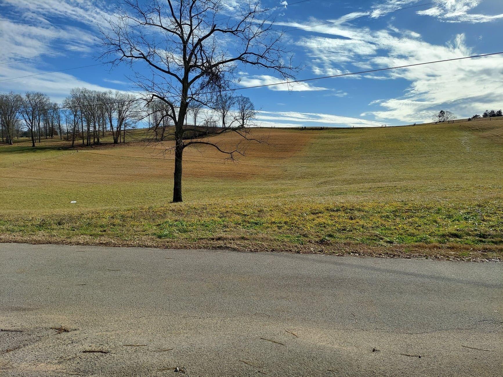 5.65 Morgan Hollow Road Rutledge, TN 37861 - Photo 4 of 6 4