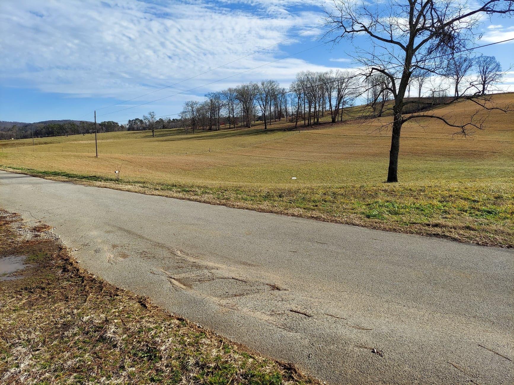 5.65 Morgan Hollow Road Rutledge, TN 37861 - Photo 5 of 6 5
