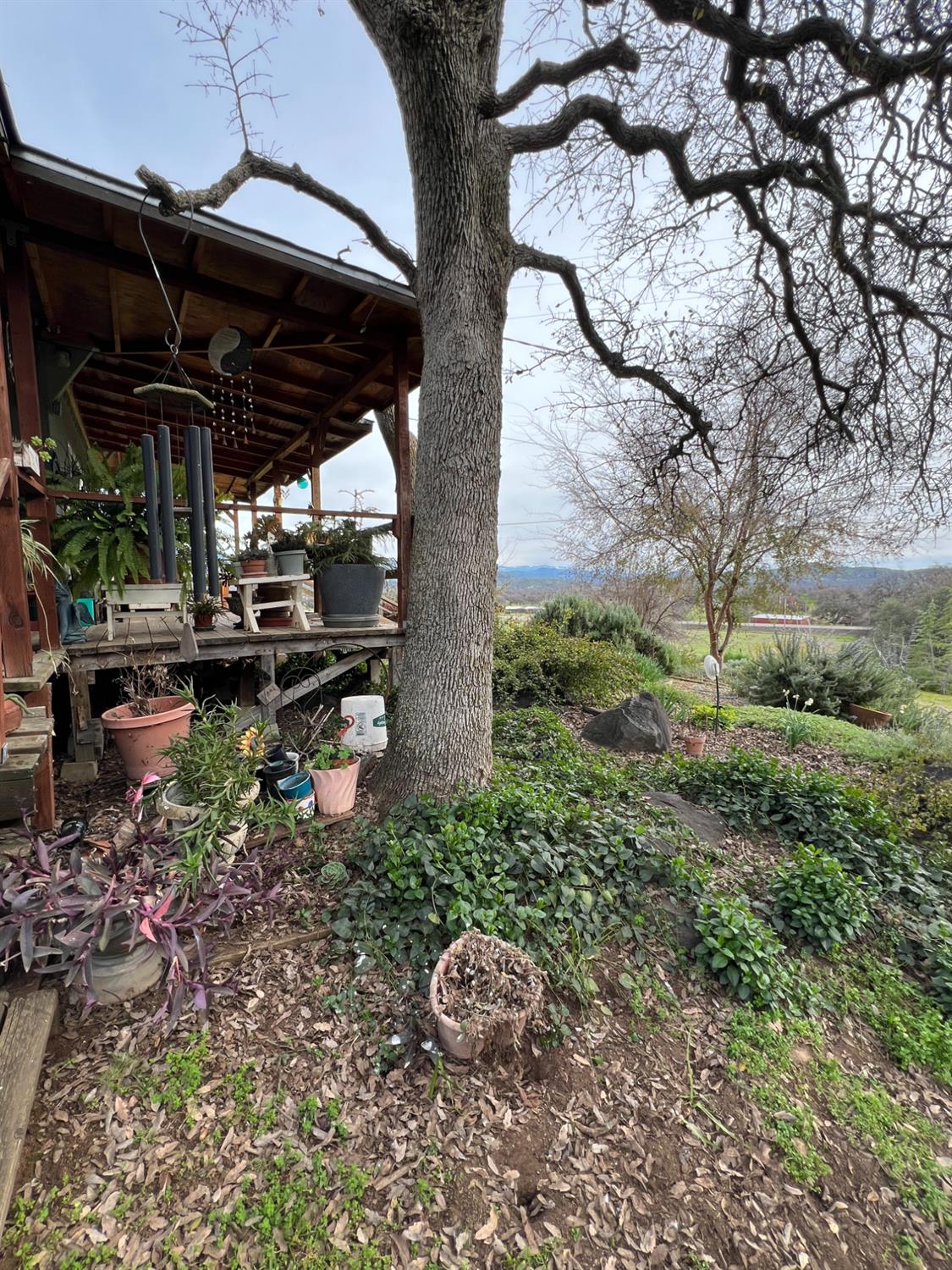 30284 Bear Mountain Road Squaw Valley, CA 93675 - Photo 23 of 62