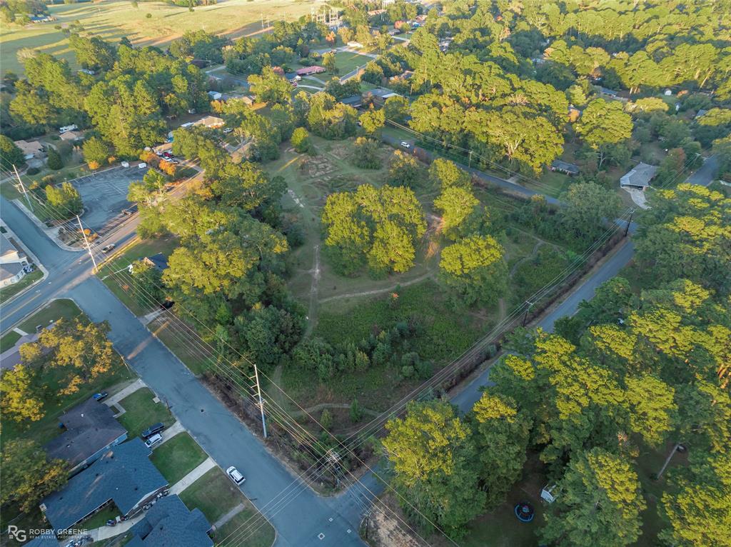 0 East Todd Street Minden, LA 71055 - Photo 2 of 4 a view of a garden