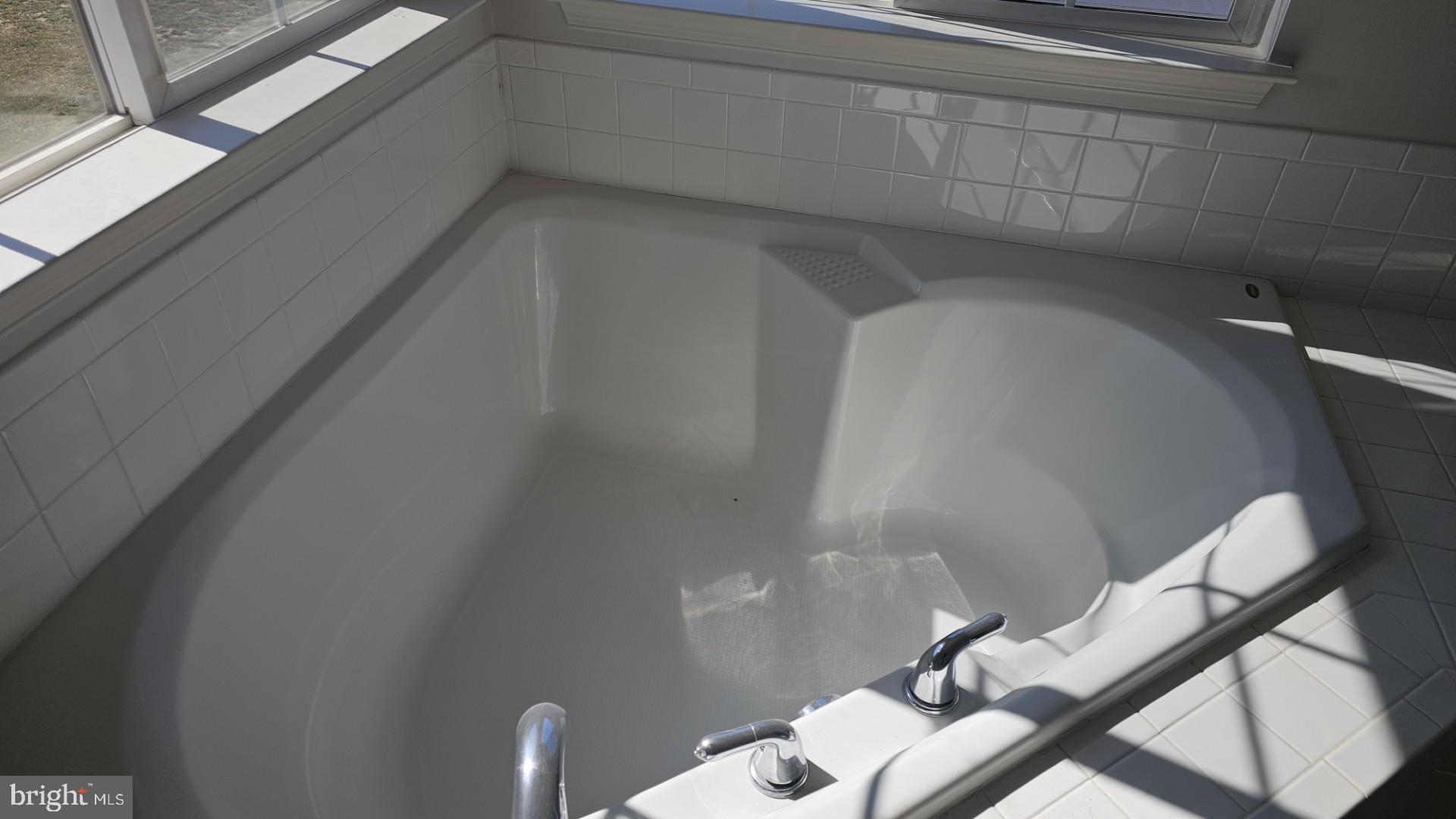 233 MacKenzie Lane Stephenson, VA 22656 - Photo 17 of 54 Master Tub