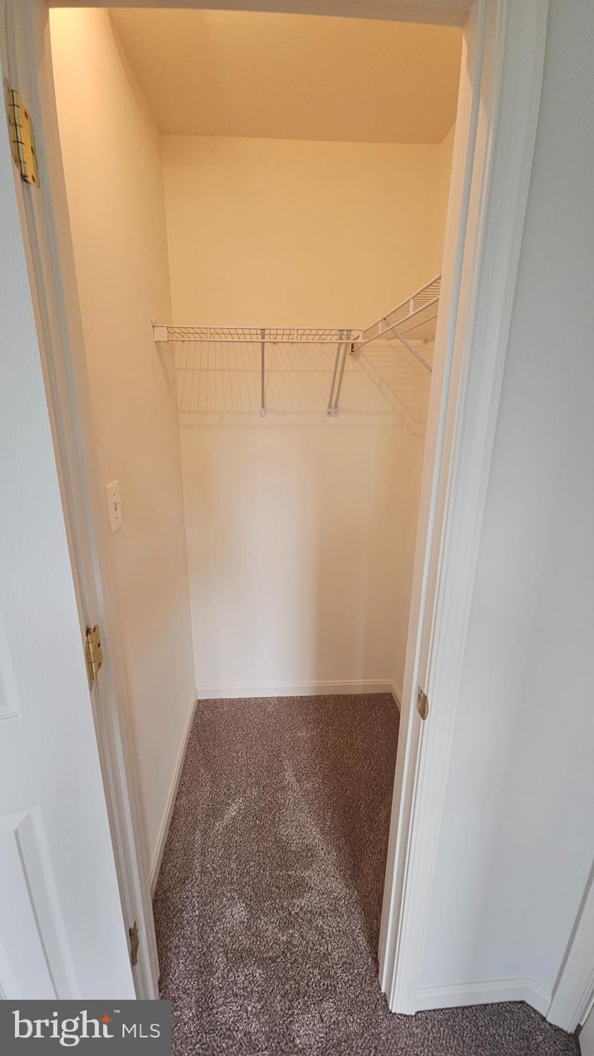 233 MacKenzie Lane Stephenson, VA 22656 - Photo 31 of 54 Bedroom Closet