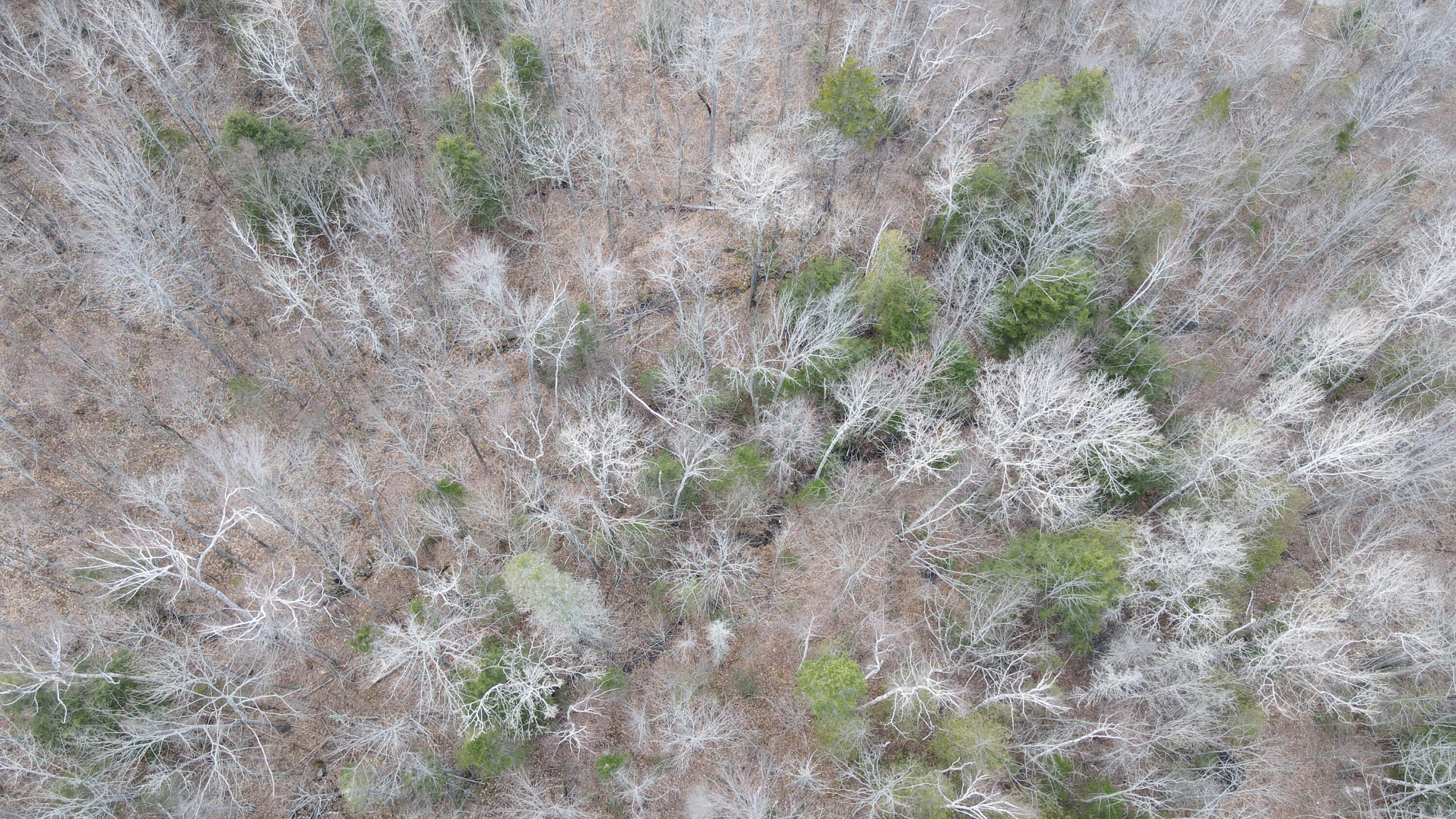 133 Rider Bluff Road Holden, ME 04429 - Photo 11 of 24 DJI_0244