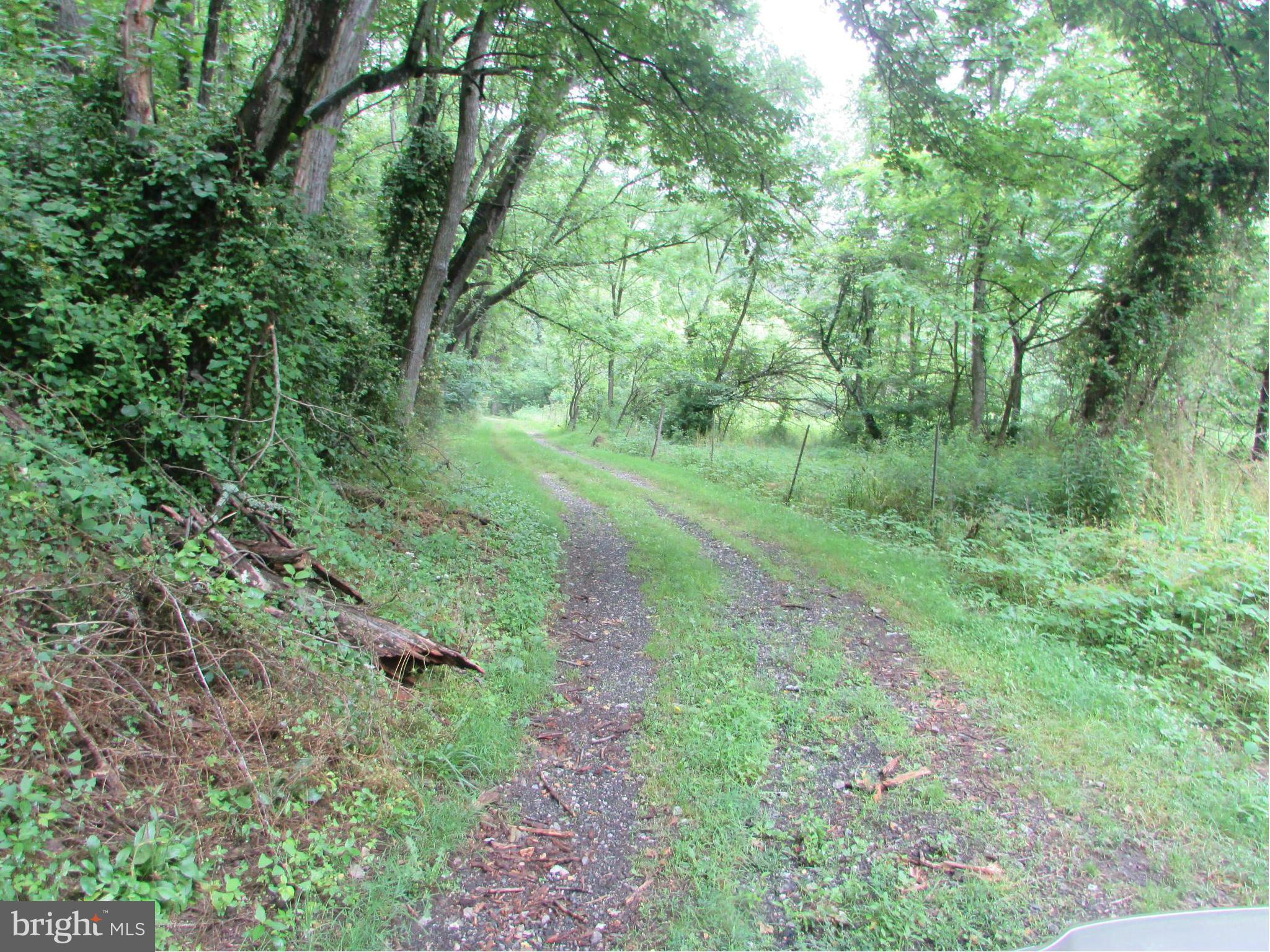 2215 Hughes Shop Road Westminster, MD 21158 - Photo 11 of 27 Unpaved driveway