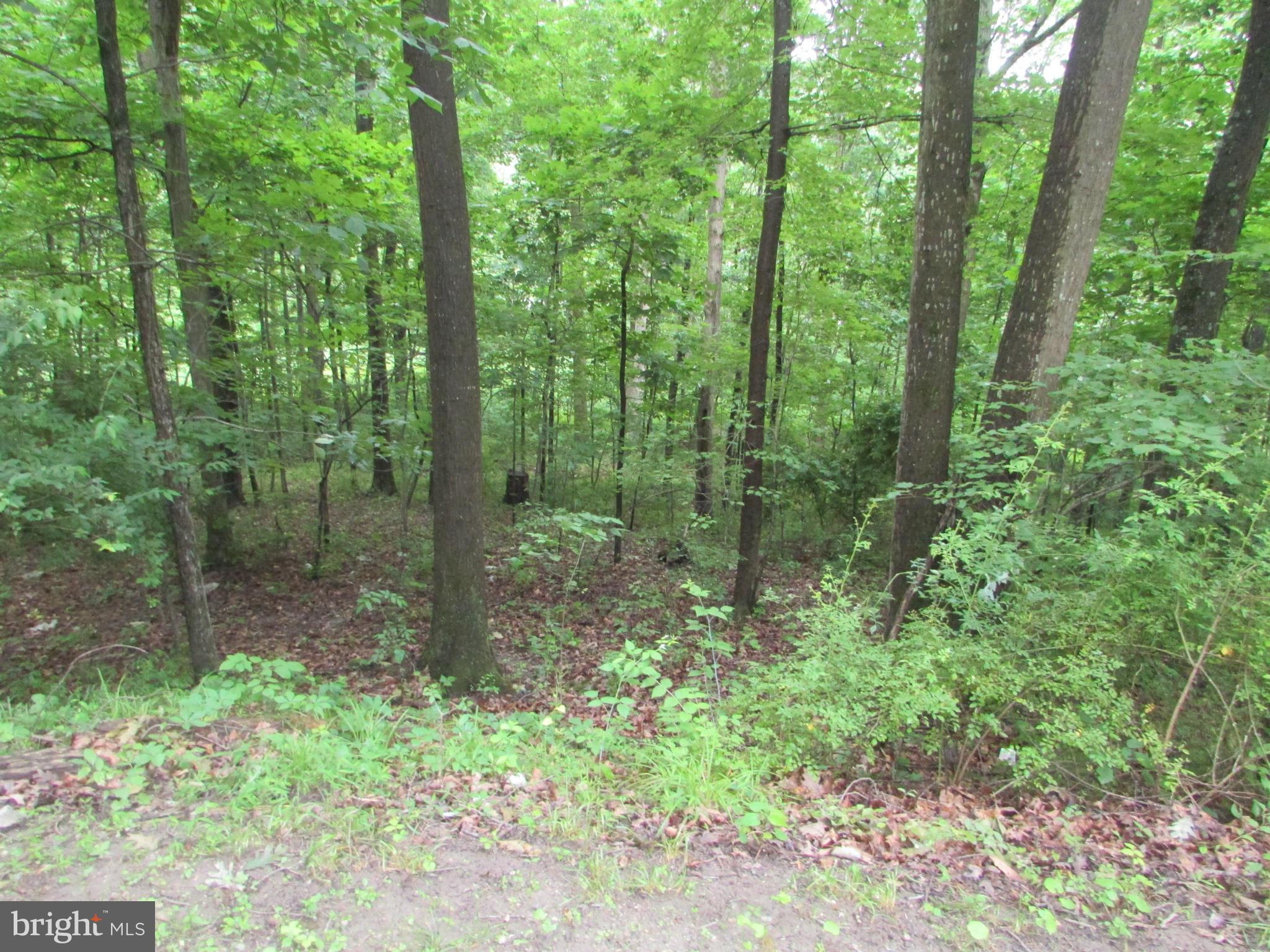 2215 Hughes Shop Road Westminster, MD 21158 - Photo 23 of 27 View