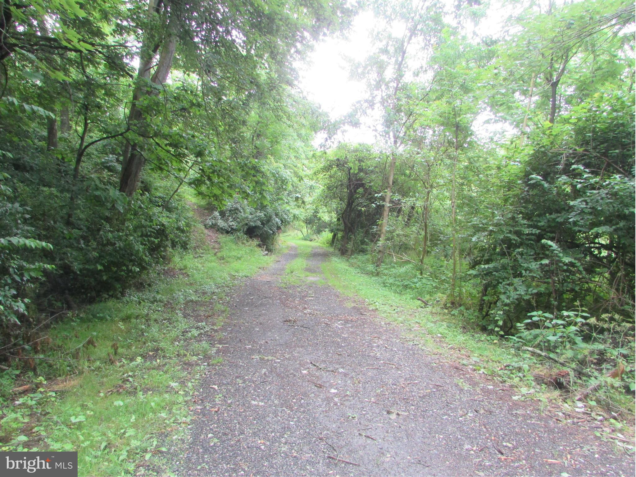 2215 Hughes Shop Road Westminster, MD 21158 - Photo 8 of 27 Beginning of driveway