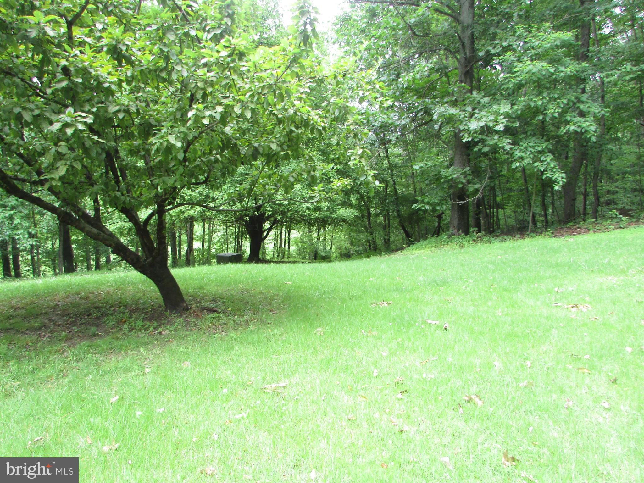 2215 Hughes Shop Road Westminster, MD 21158 - Photo 9 of 27 Yard