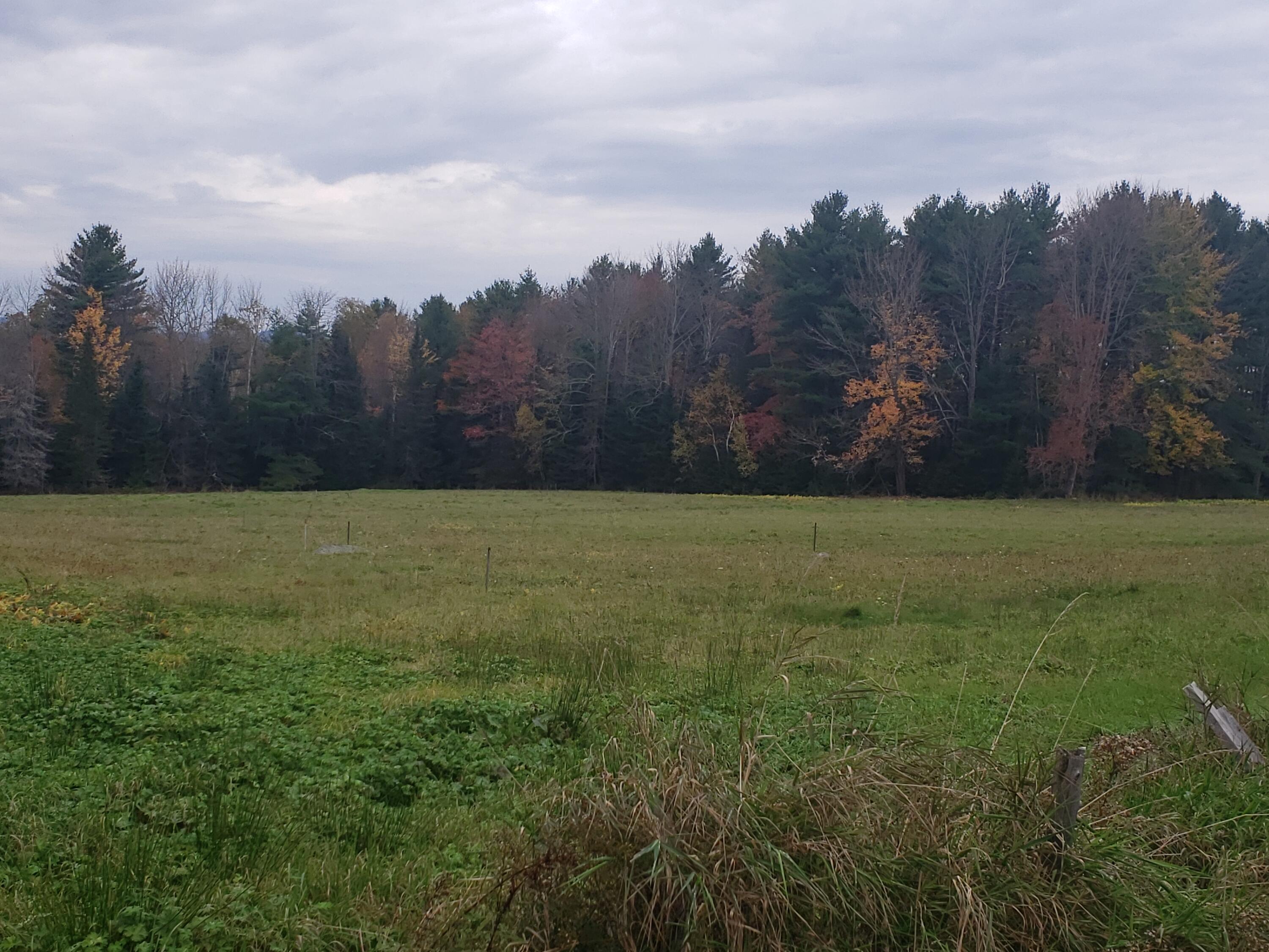 Tbd Franklin Road Jay, ME 04239 - Photo 16 of 22 20211021_115410