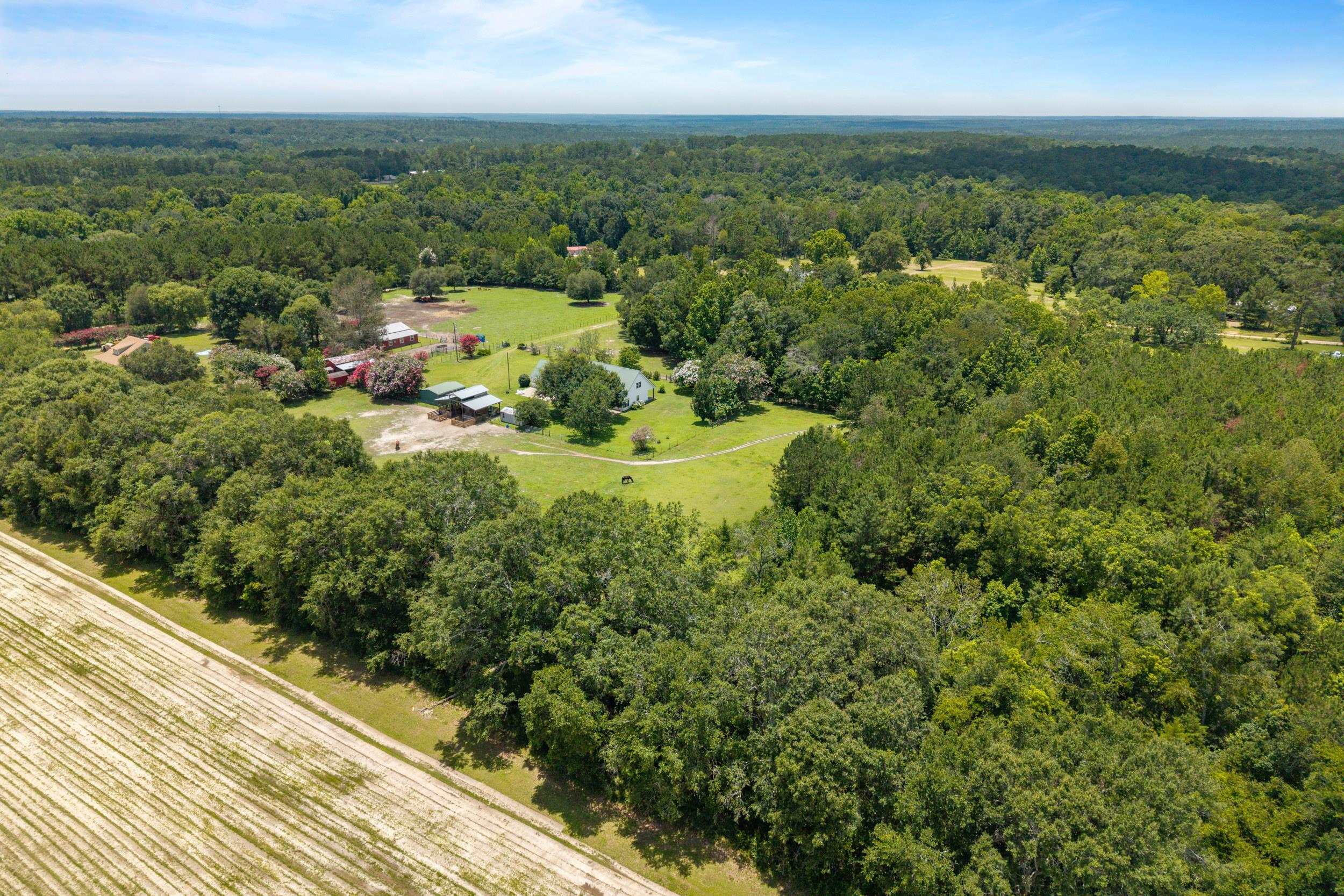 546 Backloop Road Havana, FL 32333 - Photo 56 of 67