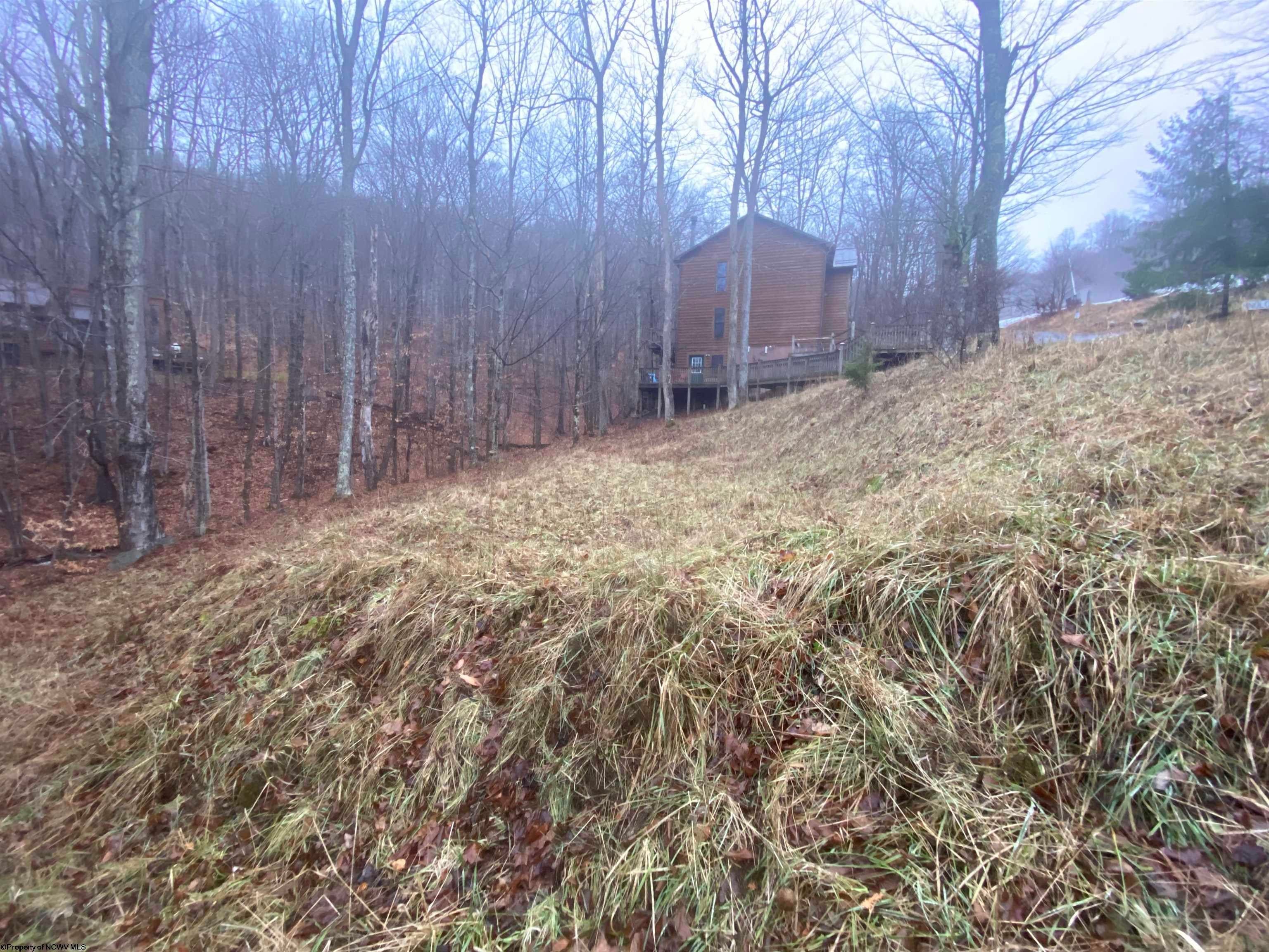Lot 72 Brookside Road Davis, WV 26260 - Photo 8 of 14 Gallery Image 8