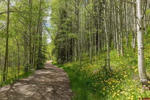 $295,000 | Tbd Lot 5 North Delores River Trail, Rico, CO 81332