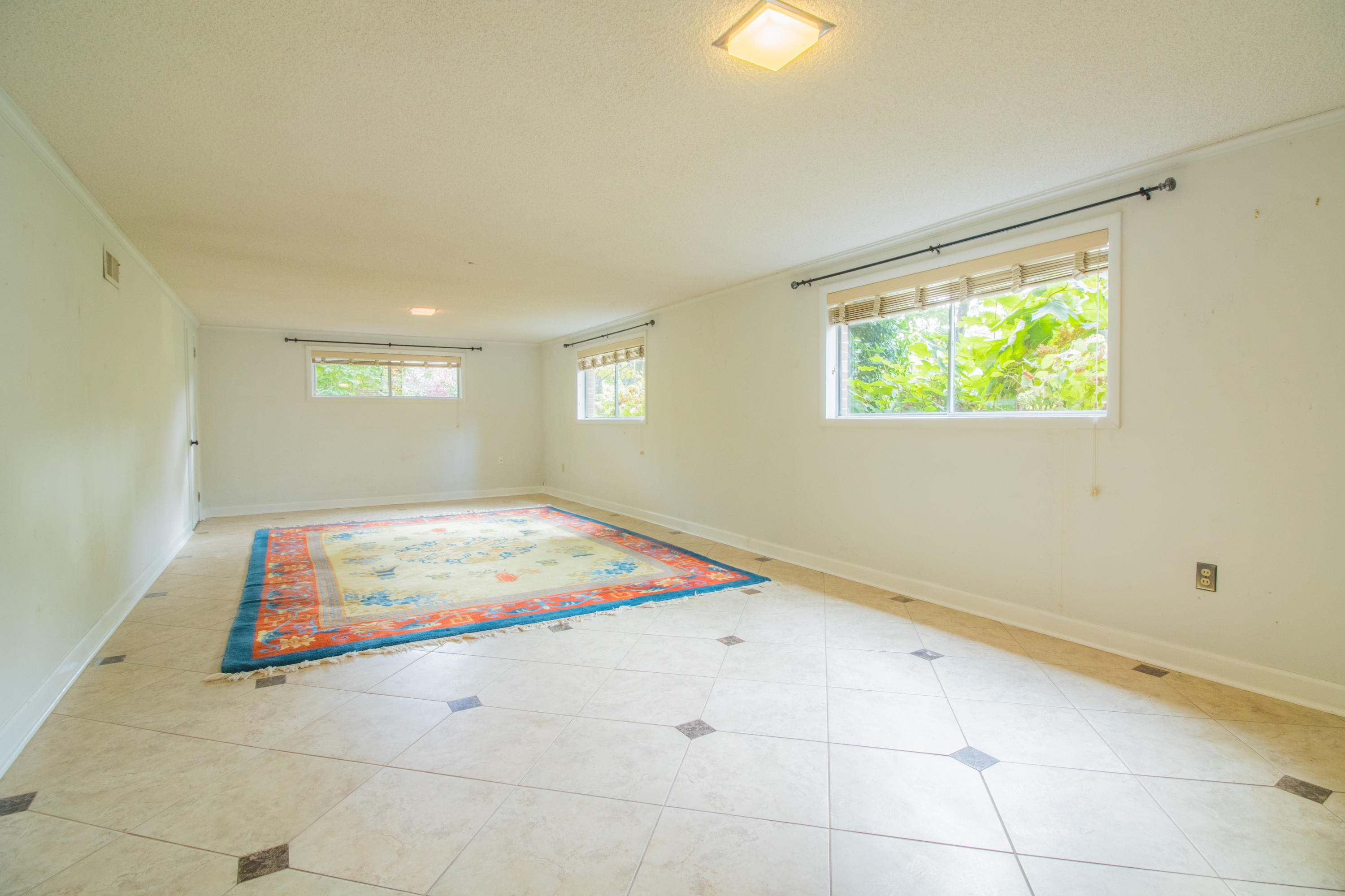 1305 Peter Pan Road Lookout Mountain, GA 30750 - Photo 16 of 30 Lower Level Living...