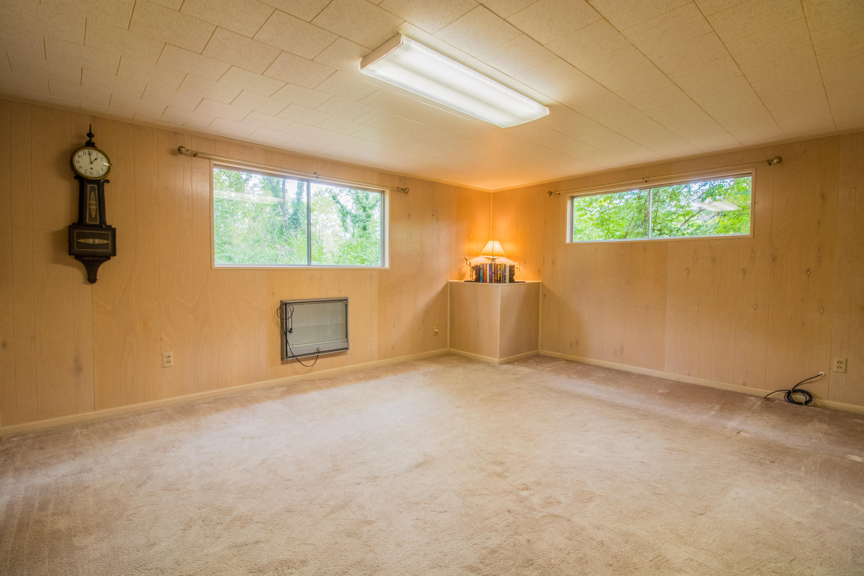 1305 Peter Pan Road Lookout Mountain, GA 30750 - Photo 17 of 30 Provides Endless Opportunties
