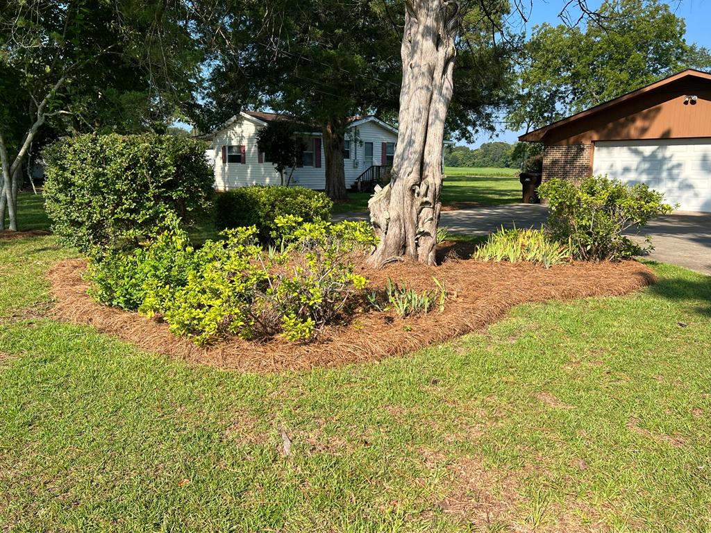 1118 Lees Bridge Road Pinckard, AL 36350 - Photo 18 of 55