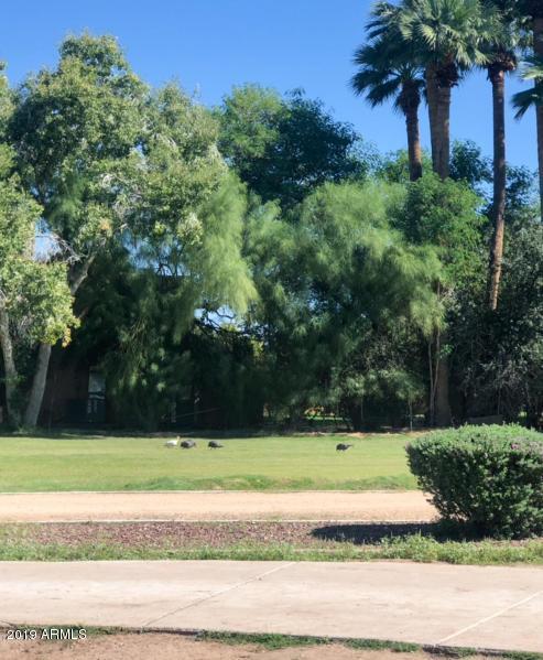 303 East Carter Road Phoenix, AZ 85042 - Photo 28 of 35 CARTER 8