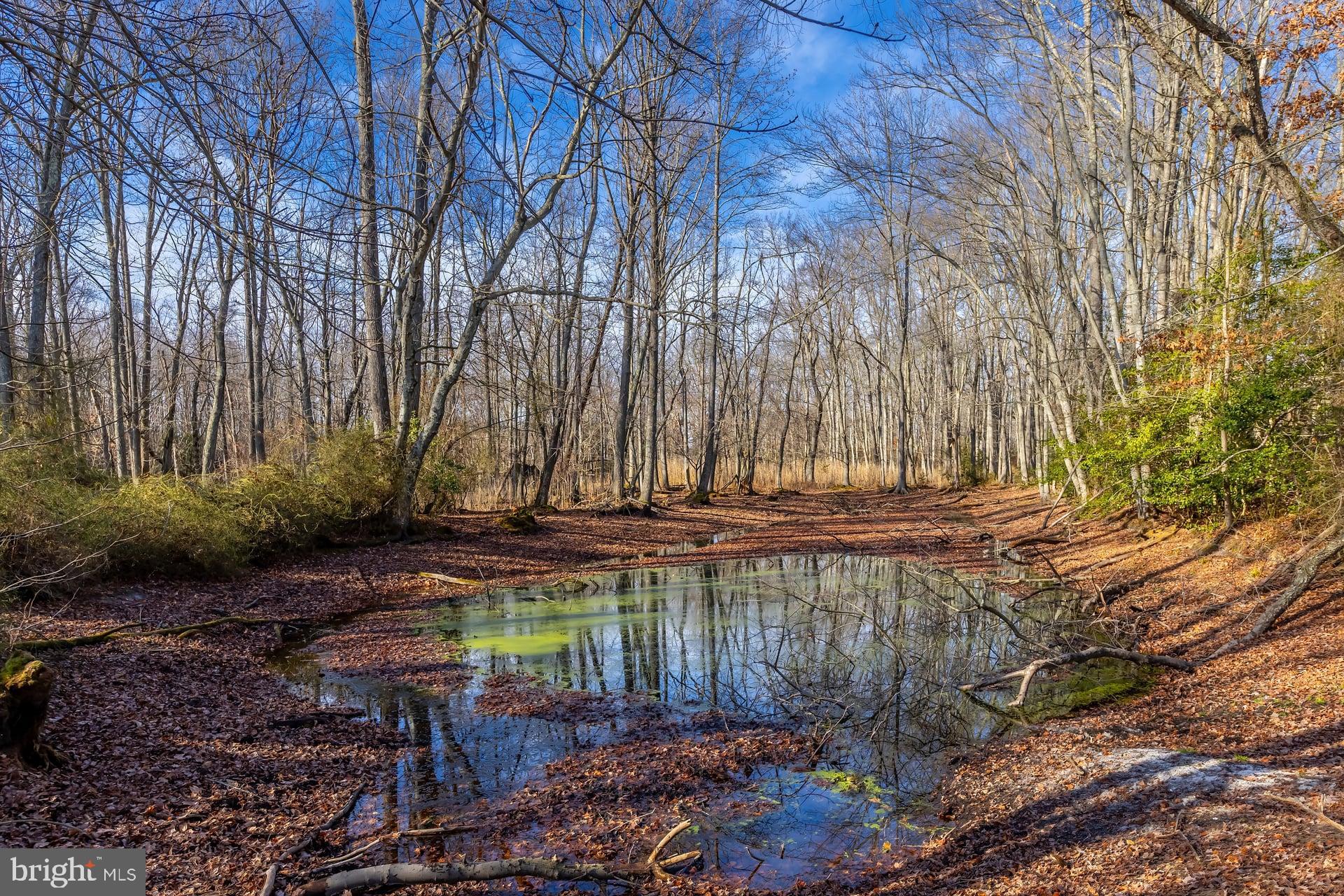 29 Three Bridge Road Monroeville, NJ 08343 - Photo 32 of 56