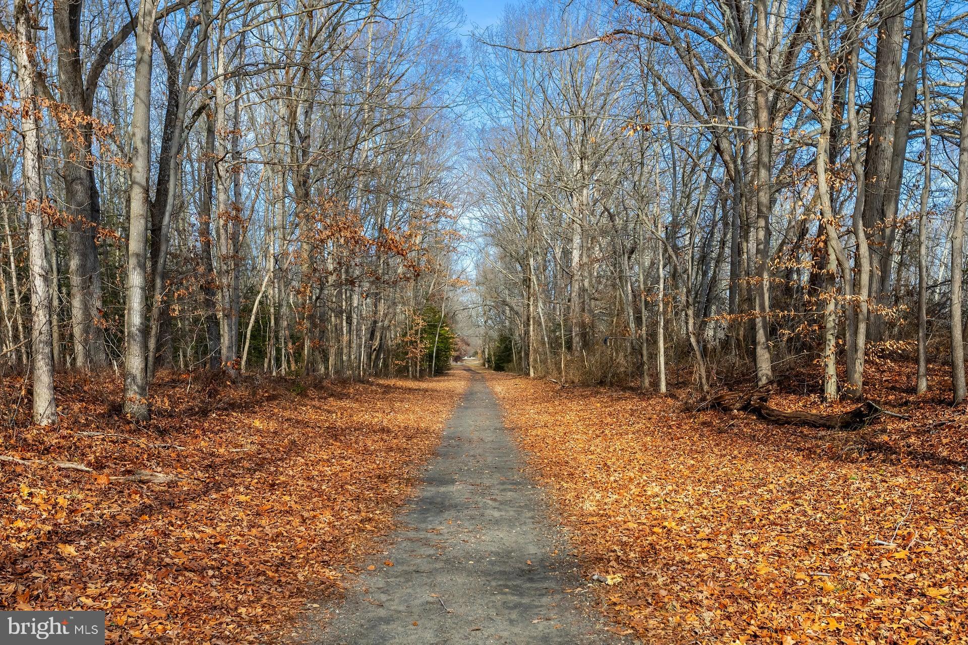 29 Three Bridge Road Monroeville, NJ 08343 - Photo 35 of 56 Elephant Swamp Trail