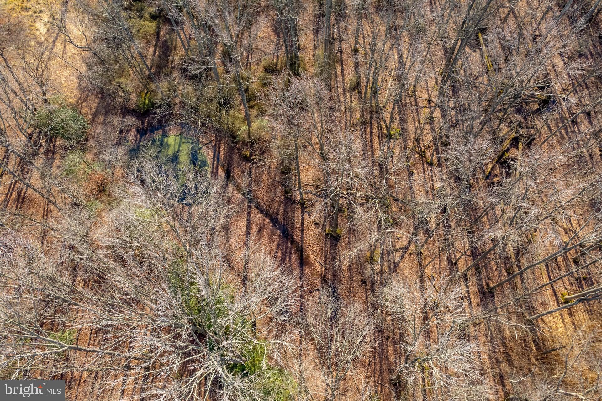 29 Three Bridge Road Monroeville, NJ 08343 - Photo 36 of 56