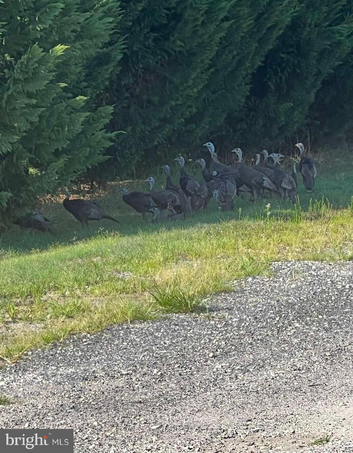 29 Three Bridge Road Monroeville, NJ 08343 - Photo 48 of 56