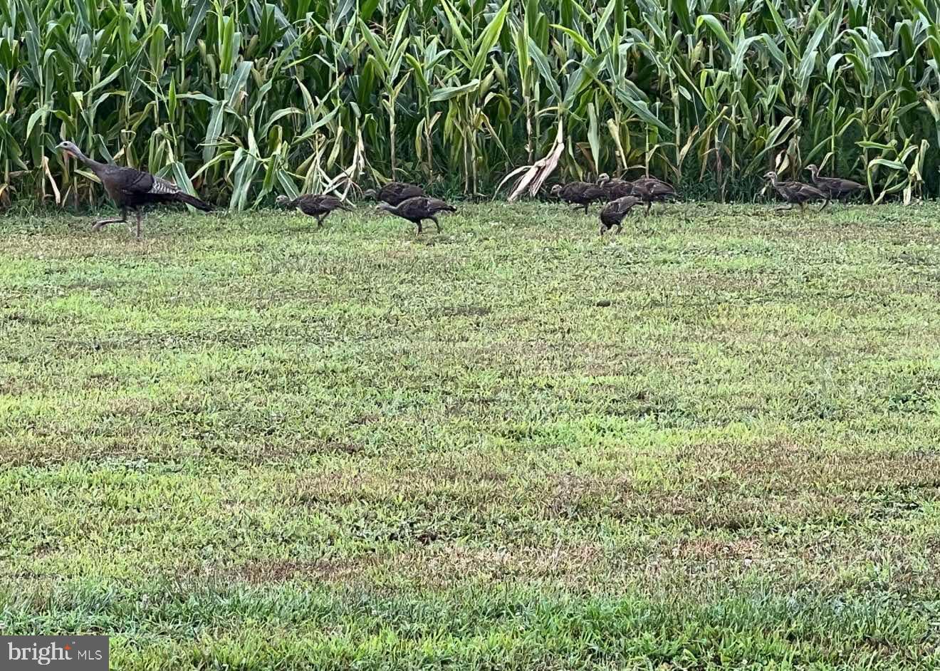 29 Three Bridge Road Monroeville, NJ 08343 - Photo 49 of 56