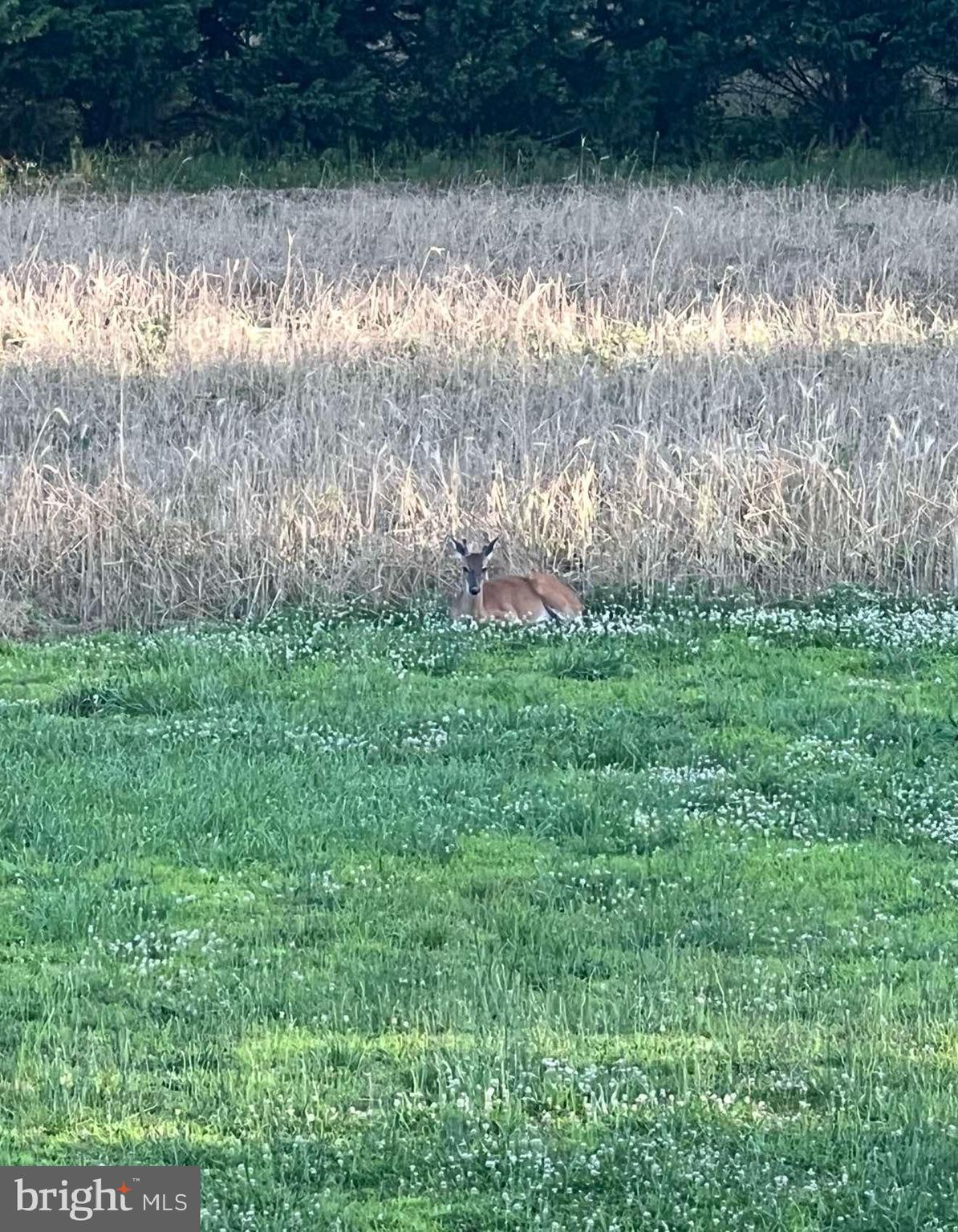 29 Three Bridge Road Monroeville, NJ 08343 - Photo 50 of 56